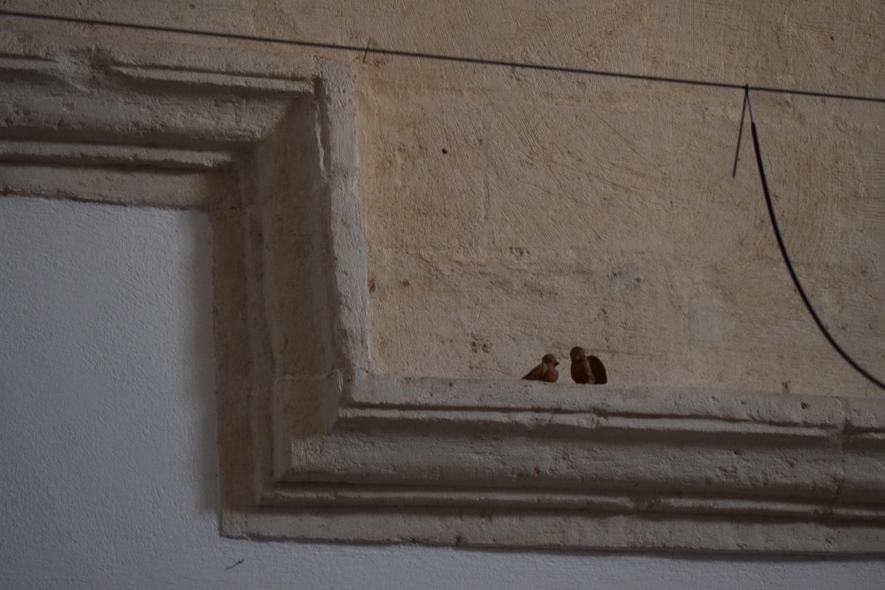 Corte Dei Venti Matera Ngoại thất bức ảnh